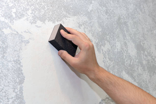 Best Attic Mold Removal  in Alderson, WV