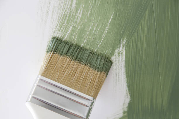 Best Environmental Consulting for Mold Prevention  in Alderson, WV