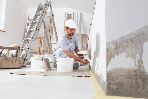 Best Mold Prevention Services  in Alderson, WV