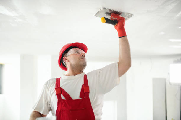 Best Mold Removal for HVAC Installations  in Alderson, WV