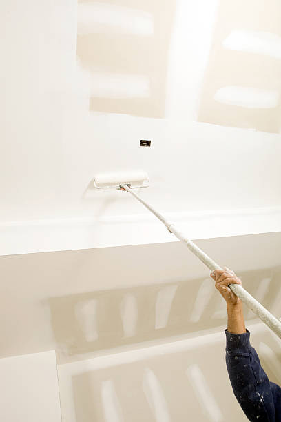 Best Commercial Mold Inspection  in Alderson, WV